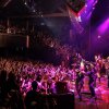 Festivalinfo review: Candy Dulfer - 21/04 - TivoliVredenburg
