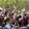 Cabaretinfo review: Bevrijdingsfestival Zuid-Holland 2024