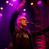 foto Nacht Van De Nederpop - 09/05 - Luxor Live