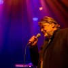  foto Nacht Van De Nederpop - 09/05 - Luxor Live