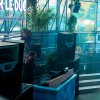 Foto Bok Tieman b2b Pete beluga op Freshtival 2024