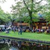 Festivalinfo review: Zuiderpark Live: The Waterboys - 18/05 - Zuiderparktheater