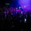 Foto Flaire te Flaire – 04/05 - Paard