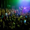 Foto Flaire te Flaire – 04/05 - Paard