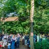 Foto  op Zuiderpark Live: Rumours Of Fleetwood Mac - 07/06 - Zuiderparktheater