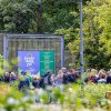 Foto  op Zuiderpark Live: Glen Hansard - 14/06 - Zuiderparktheater