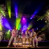 Foto A-Fever te Deventer Stadsfestival 2024