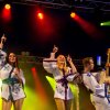 Foto A-Fever te Deventer Stadsfestival 2024