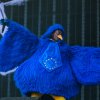 Foto Joost op Pinkpop 2024 - Zaterdag