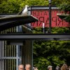 Foto  op Zuiderpark Live: Edwin Evers Band - 20/06 - Zuiderparktheater