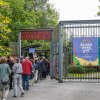 Foto  op Zuiderpark Live: Edwin Evers Band - 20/06 - Zuiderparktheater