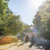 Foto  op Zuiderpark Live: The Legends We’ve Lost - 23/06 - Zuiderparktheater