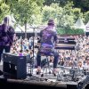 Foto Young Gun Silver Fox te Spoorpark LIVE 2024