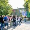 Festivalinfo review: Zuiderpark Live: S10 - 28/06 - Zuiderparktheater