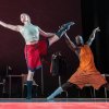 Conny Janssen Danst