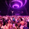 Foto op Lowlands 2024 - Zondag