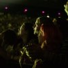  foto Noah Kahan - 24/08 - Ziggo Dome