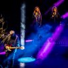 Foto Pink Project te Zuiderpark Live: Pink Project - 24/08 - Zuiderparktheater