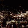 Festivalinfo review: Superbloom Festival 2024