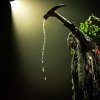 Foto Heilung te Heilung - 21/09 - Afas Live