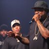 Xzibit foto Xzibit - 22/9 - Paard