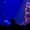 Foto New Purple Celebration te New Purple Celebration - 27/9 - Paard