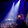 Foto New Purple Celebration te New Purple Celebration - 27/9 - Paard