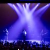 New Purple Celebration foto New Purple Celebration - 27/9 - Paard