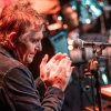 Foto The Animals & Friends op The Animals & Friends - 18/10 - Metropool