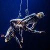 Foto  op Concert Of the Year - 23/11 - Ziggo Dome
