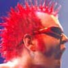 The Toy Dolls