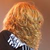 Foto Megadeth te Priest Feast - 23/3 - Heineken Music Hall