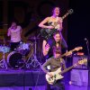 Foto Hinds op Hinds - 01/03 - Tolhuistuin