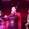 Ladies of Soul
