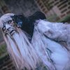  foto Elfia Haarzuilens 2025