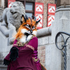 Foto  op Elfia Haarzuilens 2025