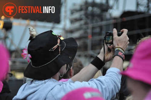 Sfeerfoto Pinkpop 2010 - zaterdag 29 mei