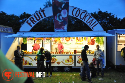 Sfeerfoto Pinkpop 2010 - zaterdag 29 mei