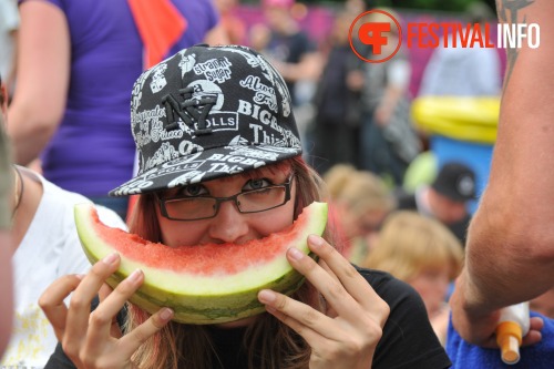 Sfeerfoto Pinkpop 2010 - zaterdag 29 mei