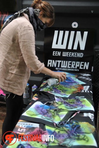 Sfeerfoto Pinkpop 2010 - zondag 30 mei