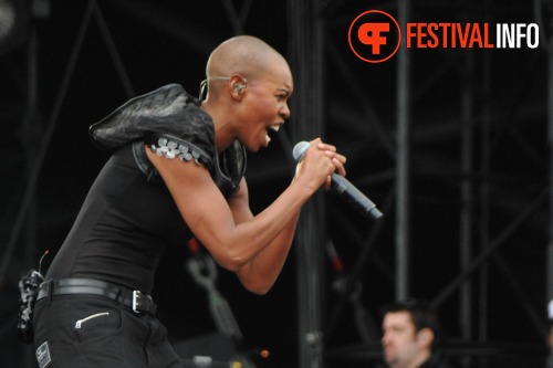 Sfeerfoto Pinkpop 2010 - zondag 30 mei