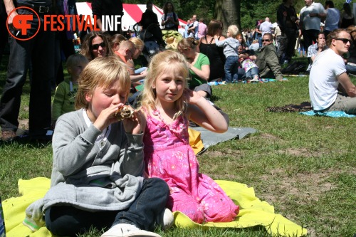 Sfeerfoto Beeckestijn Pop 	2010 - zaterdag 12 juni