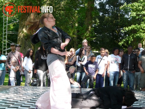 Sfeerfoto Wantijpop 2010 - zaterdag 12 juni