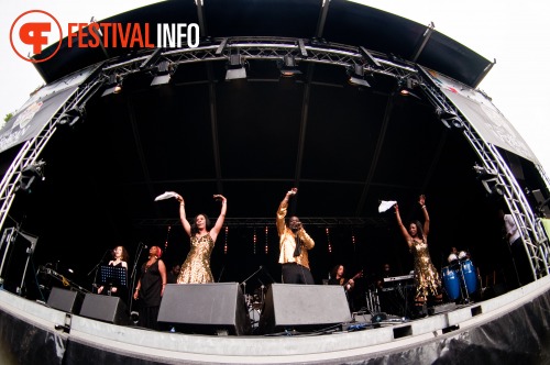 Sfeerfoto The Hague African Festival 2010 - zondag 13 juni