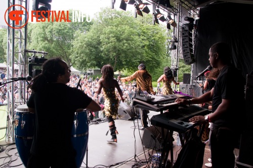 Sfeerfoto The Hague African Festival 2010 - zondag 13 juni