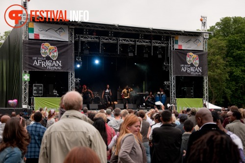 Sfeerfoto The Hague African Festival 2010 - zondag 13 juni