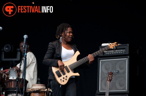 Sfeerfoto The Hague African Festival 2010 - zondag 13 juni