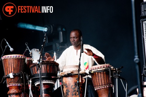 Sfeerfoto The Hague African Festival 2010 - zondag 13 juni
