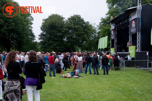 Sfeerfoto The Hague African Festival 2010 - zondag 13 juni