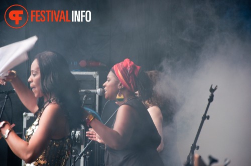 Sfeerfoto The Hague African Festival 2010 - zondag 13 juni